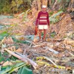 हत्तीचा कहर