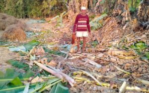 हत्तीचा कहर