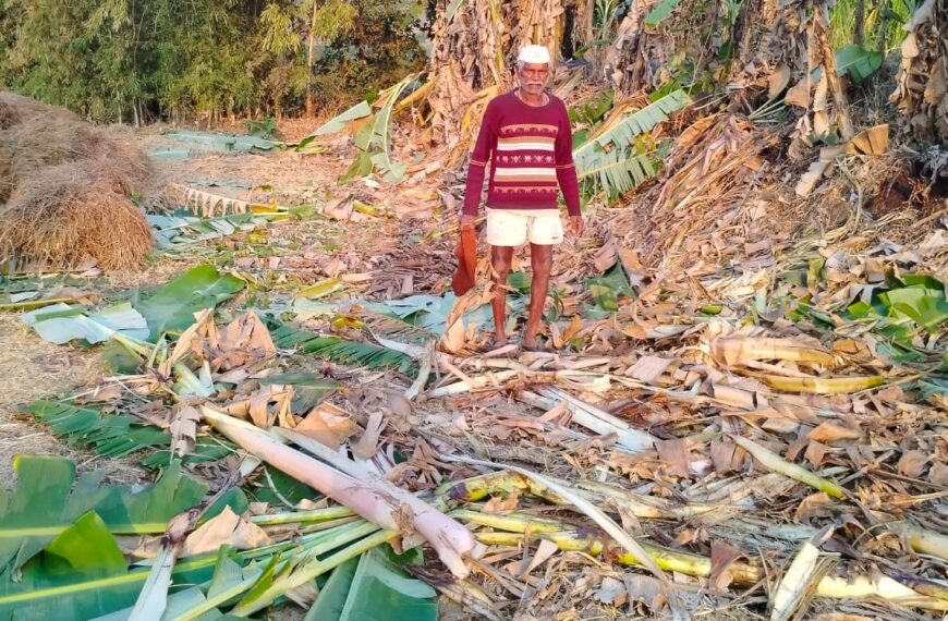 हत्तीचा कहर