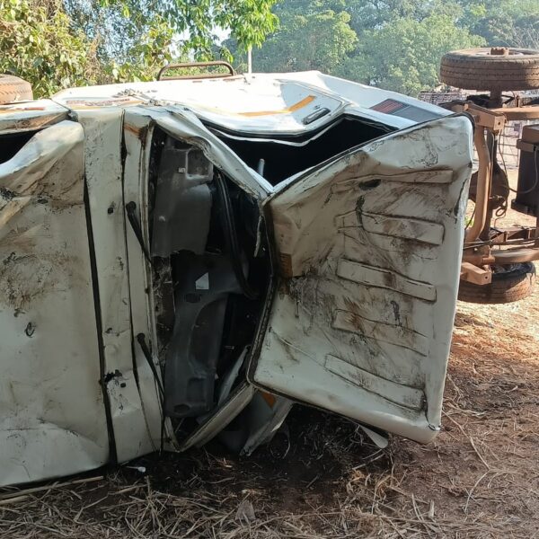 शिरसंगीत हत्तीने दोन चारचाकी केल्या ‘चक्काचूर’