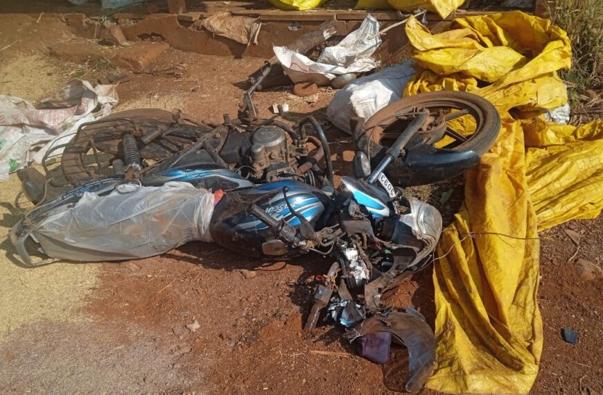 सिरसंगी येथे हत्तीकडून दुचकीची मोडतोड