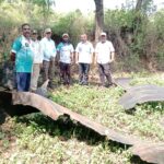 आठवड्यानंतर हत्ती पुन्हा वाटंगीत दाखल