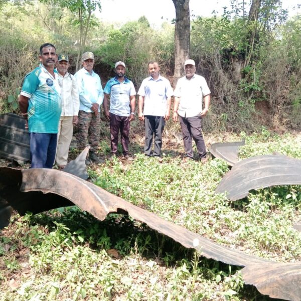 आठवड्यानंतर हत्ती पुन्हा वाटंगीत दाखल
