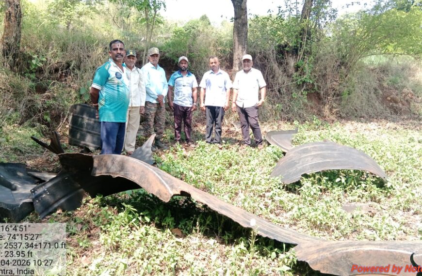 आठवड्यानंतर हत्ती पुन्हा वाटंगीत दाखल