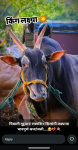 सिरसंगीच्या ‘लक्ष्या’ ची मनाला चटका देणारी ‘एक्जिट’